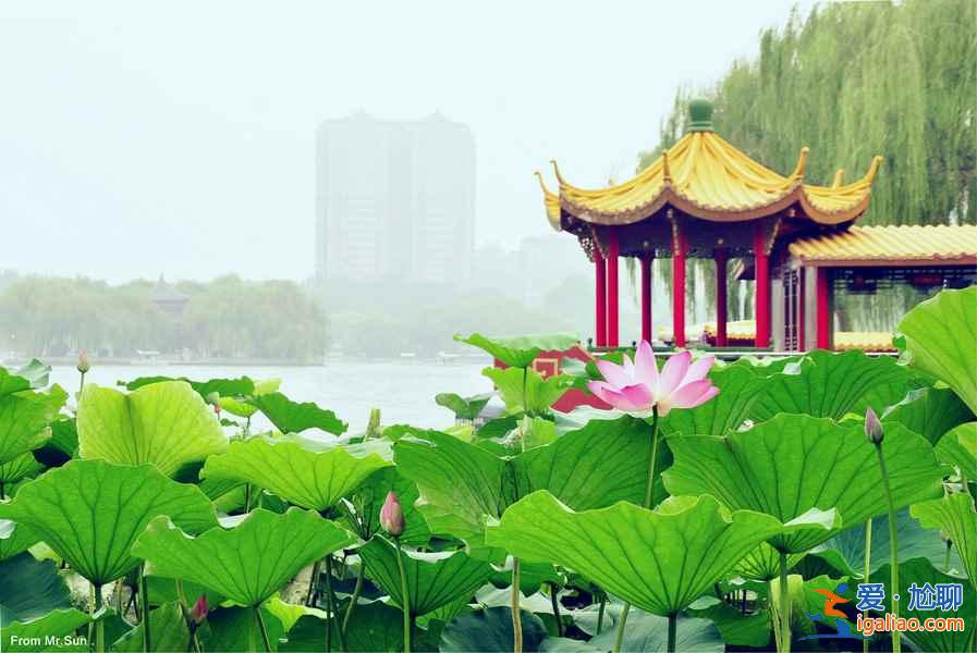 中國十大最熱的城市排名，中國最熱的地方？