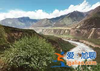 2017林芝桃花節觀賞攻略（附：賞花時間、地點、路線、交通、美食及住宿）？