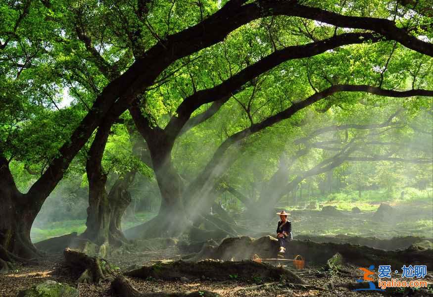 中國竟然還有如此多的冷門美景，90%的人不知道！？