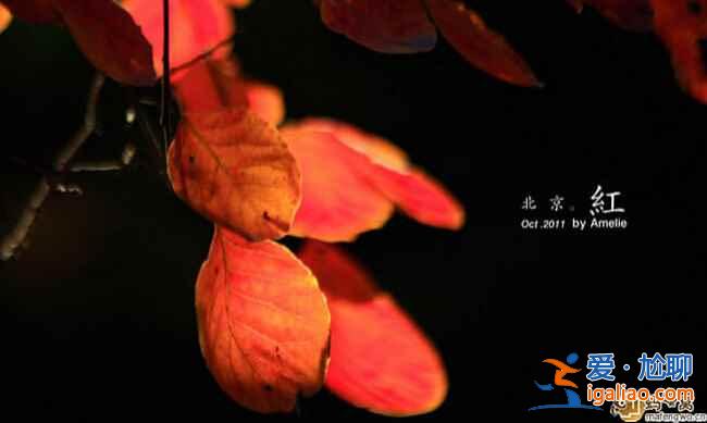 中國(guó)最美的秋景地，是時(shí)候準(zhǔn)備出發(fā)了！？