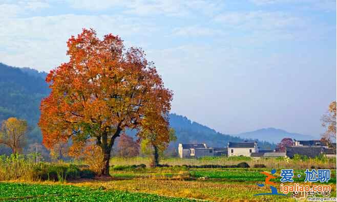 中國(guó)最美的秋景地，是時(shí)候準(zhǔn)備出發(fā)了！？