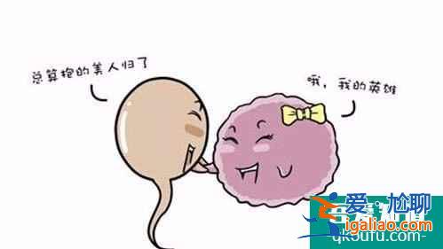 什么人適合做試管嬰兒？？