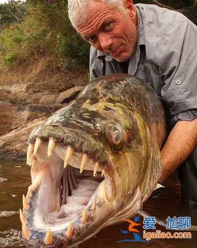 傳說中的世界七大水怪出沒地? 傳說中的世界七大水怪出沒地?