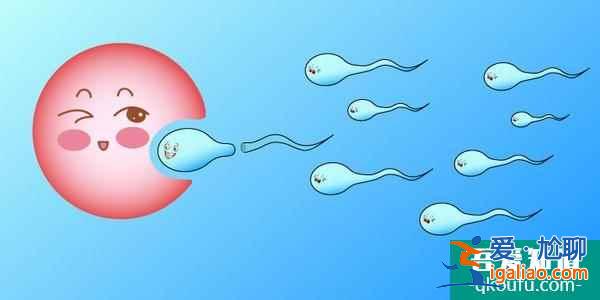 什么人適合做試管嬰兒？？