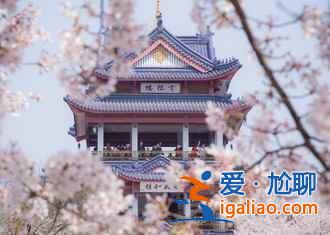 中國五座大佛,震撼神圣!? 中國五座大佛,震撼神圣!?