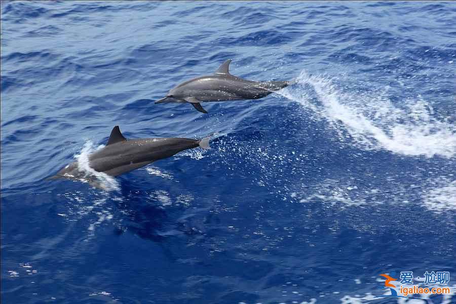 《盜墓筆記》書迷福利！跟著《盜墓》美景去旅行？