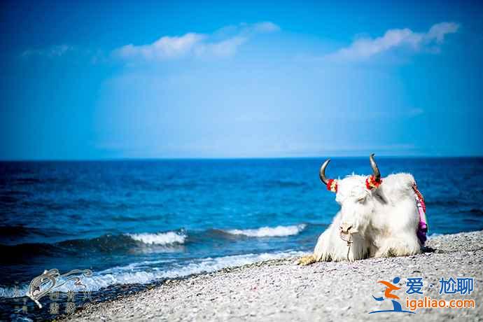 《盜墓筆記》書迷福利！跟著《盜墓》美景去旅行？