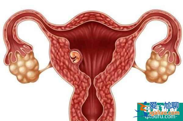 專家建議:去做試管嬰兒前注重四個方面的備孕工作? 專家建議:去做試管嬰兒前注重四個方面的備孕工作?