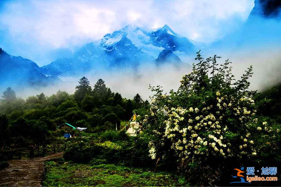 適合一群朋友去旅行的地方，你選哪一個？？