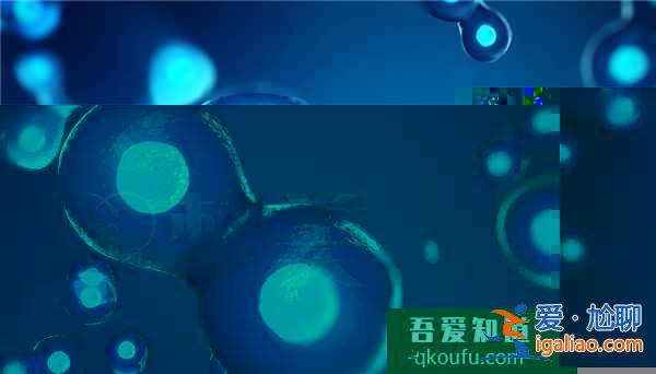 45歲李玟做IVF失敗，試管嬰兒專家教您提高成功率？