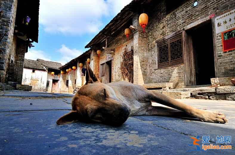 國內哪些古鎮比較安靜，商業化程度比較低？？