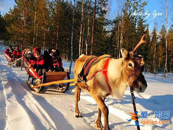 冬季旅游,國內十大冰雪地推薦!? 冬季旅游,國內十大冰雪地推薦!?