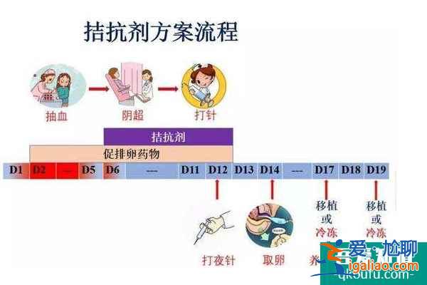 如何根據AMH數值定試管嬰兒助孕方案？？