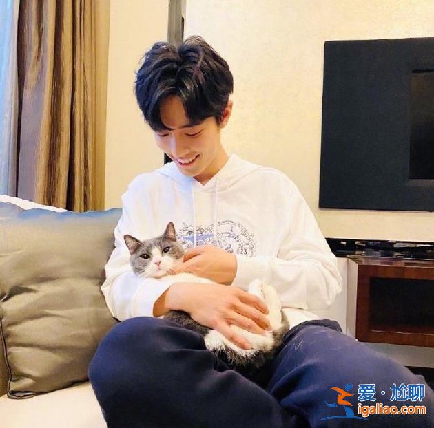 星探丨肖戰更新動態分享手繪梅花圖 此前被傳患上抑郁癥