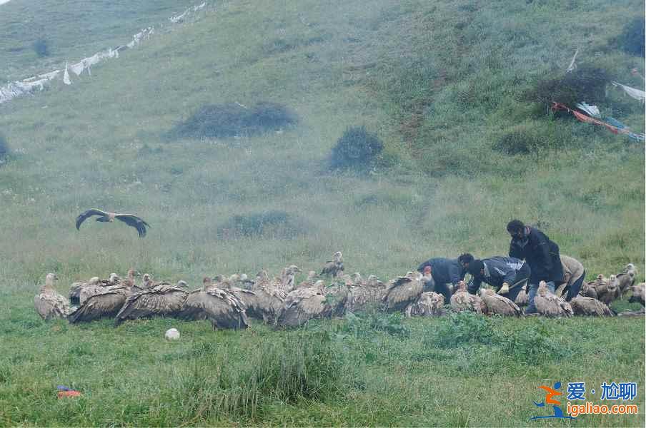 神秘的天葬臺,天葬在哪里舉行? 神秘的天葬臺,天葬在哪里舉行?