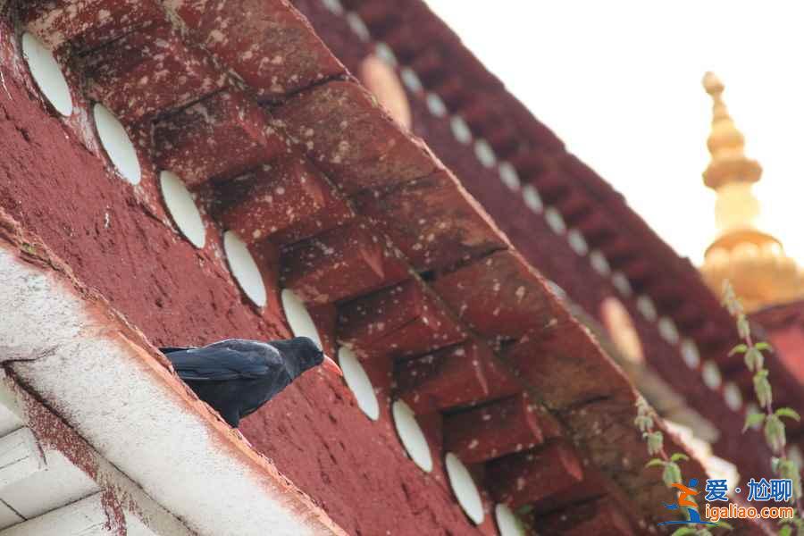 神秘的天葬臺,天葬在哪里舉行? 神秘的天葬臺,天葬在哪里舉行?