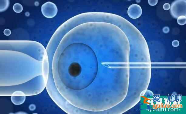 囊胚培養(yǎng)成功率大嗎？怎么提升成功率？