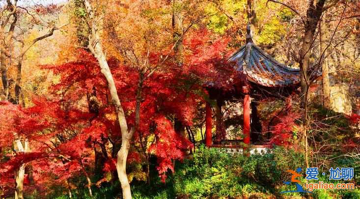 南京必游TOP6,南京最值得去的景點? 南京必游TOP6,南京最值得去的景點?