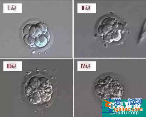試管嬰兒胚胎評級與成功率之間有什么關系？？