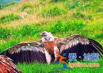 關于印度的幾點誤解，大多數人都錯了！？