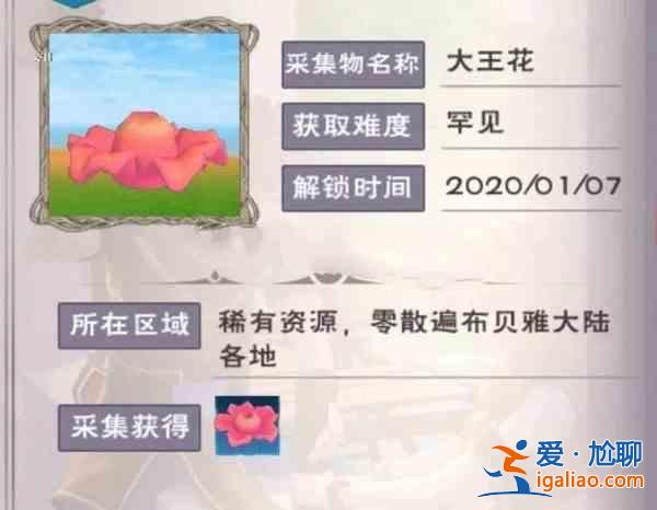 創造與魔法大王花位置在哪？全地圖大王花刷新位置一覽？