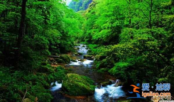 每個月適合旅游的地方(國內篇)? 每個月適合旅游的地方(國內篇)?