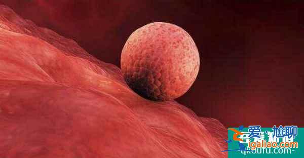 試管嬰兒周期內(nèi),中途什么時候可以回國?? 試管嬰兒周期內(nèi),中途什么時候可以回國??