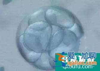 宮腔環(huán)境不好會(huì)影響胎兒正常發(fā)育嗎？？