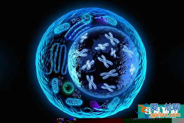 試管嬰兒一個周期成功率是多少？？