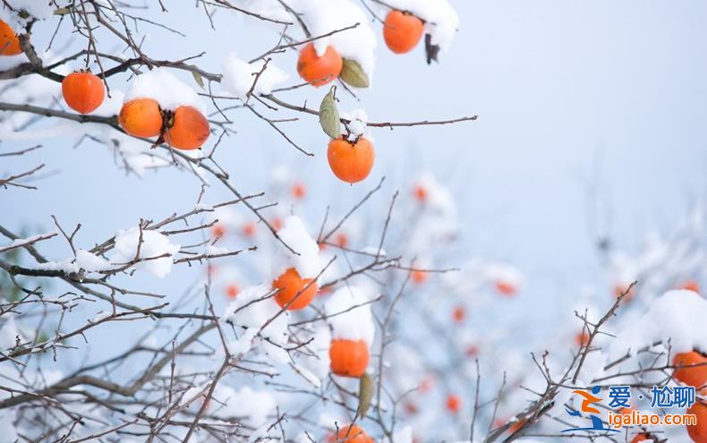 大范圍雨雪將至或打破11月歷史紀錄，老百姓要注意了！[冷空氣]？
