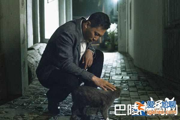 電視劇老男孩什么時(shí)候播？林依晨撩糙漢大叔劉燁！？
