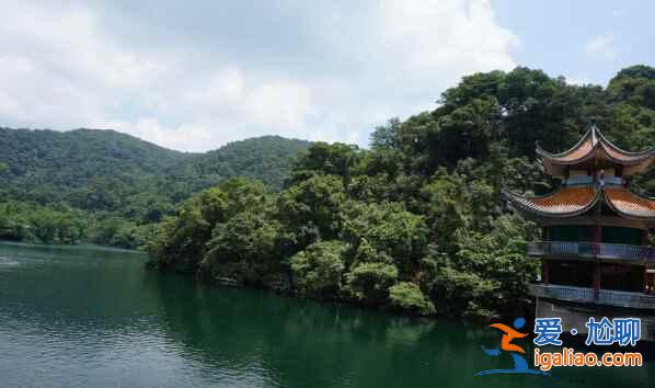 廣東四大名山，初春走起來！？