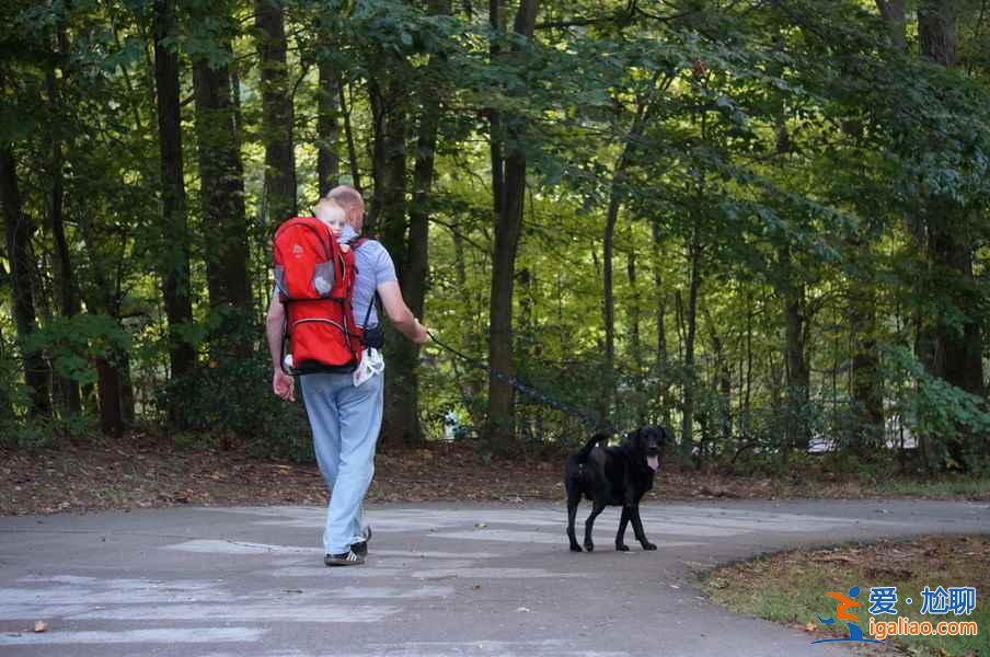 2015年十大最佳城市，美國首都華盛頓奪魁？