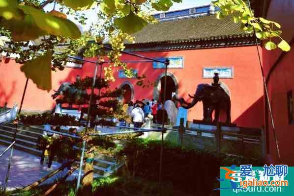 2022受疫情影響南京棲霞山和棲霞古寺不舉行跨年活動？