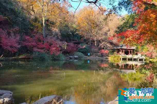 2022受疫情影響南京棲霞山和棲霞古寺不舉行跨年活動？