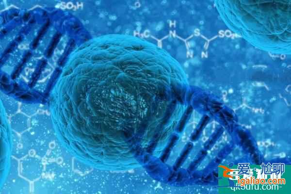 試管嬰兒為子宮腺肌癥患者保孕護航？