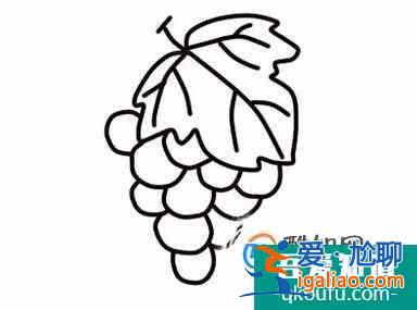 怎么畫葡萄的簡筆畫? 怎么畫葡萄的簡筆畫?
