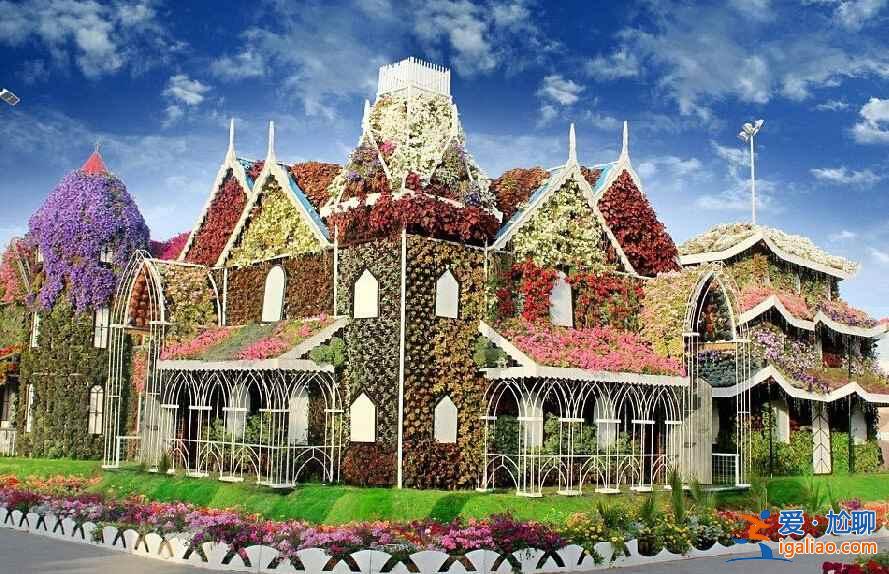 土豪迪拜又來了！建世界最大最美花園（多圖）？