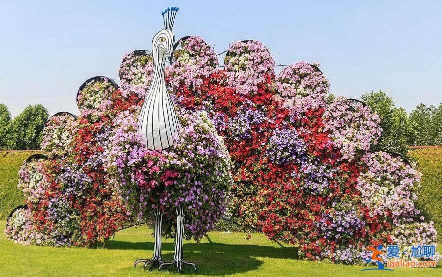 土豪迪拜又來了！建世界最大最美花園（多圖）？