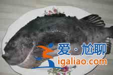 海參斑魚的做法? 海參斑魚的做法?