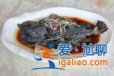 海參斑魚的做法? 海參斑魚的做法?