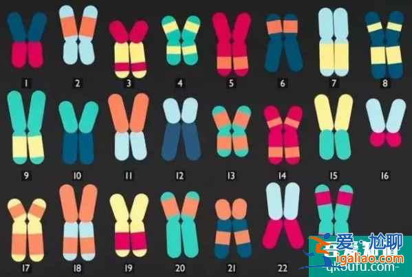 多個試管嬰兒周期真能提高成功率嗎?? 多個試管嬰兒周期真能提高成功率嗎??