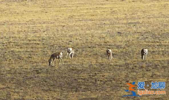 盤點國內最令人心跳加速的絕美驚艷地? 盤點國內最令人心跳加速的絕美驚艷地?