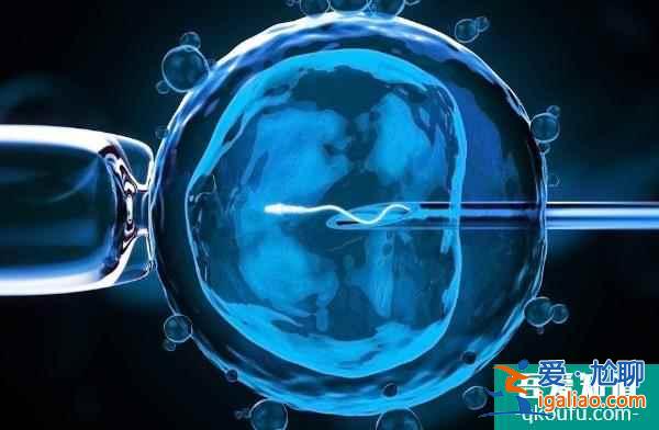 多個試管嬰兒周期真能提高成功率嗎?? 多個試管嬰兒周期真能提高成功率嗎??