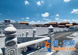 【杜鵑花?!恐袊宕蠖霹N花海? 【杜鵑花?!恐袊宕蠖霹N花海?