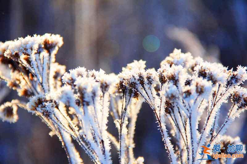 冬游長白山：走進冰雪世界？