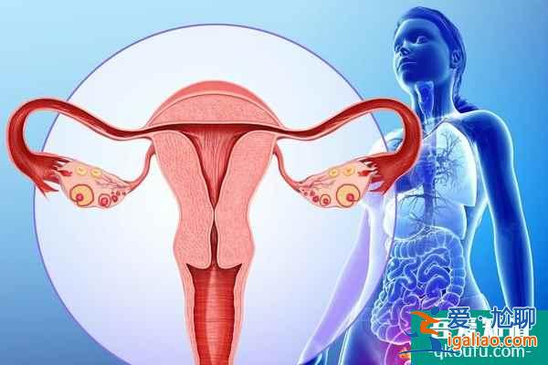 子宮內(nèi)膜對試管移植的影響及好孕保障? 子宮內(nèi)膜對試管移植的影響及好孕保障?