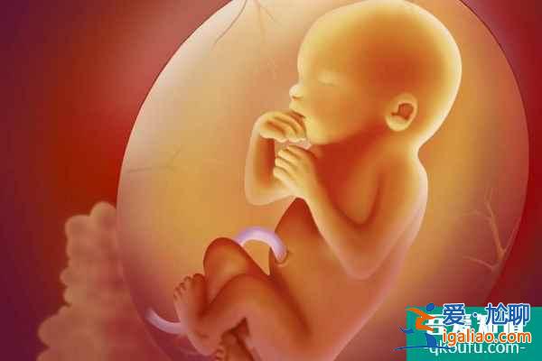 子宮內(nèi)膜對試管移植的影響及好孕保障? 子宮內(nèi)膜對試管移植的影響及好孕保障?