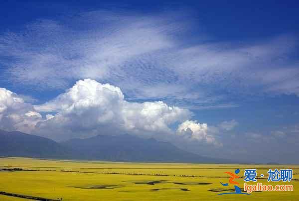 【青海湖油菜花】什么時(shí)候開,2018青海湖油菜花幾月開,【青海油菜花】攻略? 【青海湖油菜花】什么時(shí)候開,2018青海湖油菜花幾月開,【青海油菜花】攻略?