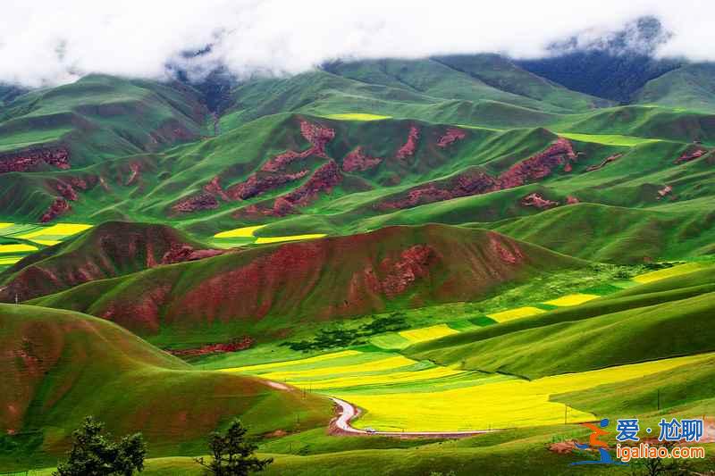 【青海湖油菜花】什么時(shí)候開,2018青海湖油菜花幾月開,【青海油菜花】攻略? 【青海湖油菜花】什么時(shí)候開,2018青海湖油菜花幾月開,【青海油菜花】攻略?